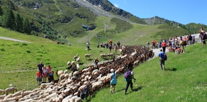 Geneva airport to Argentiere Transfer