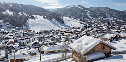 Genève aux Gets Transfert